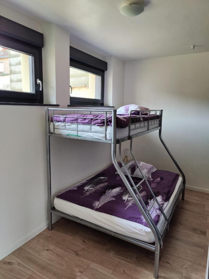Le Purple, Appartement De Standing En Hypercentre Sarreguemines Luaran gambar