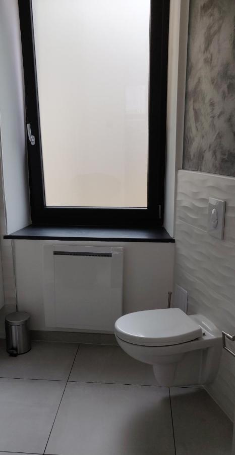 Le Purple, Appartement De Standing En Hypercentre Sarreguemines Luaran gambar