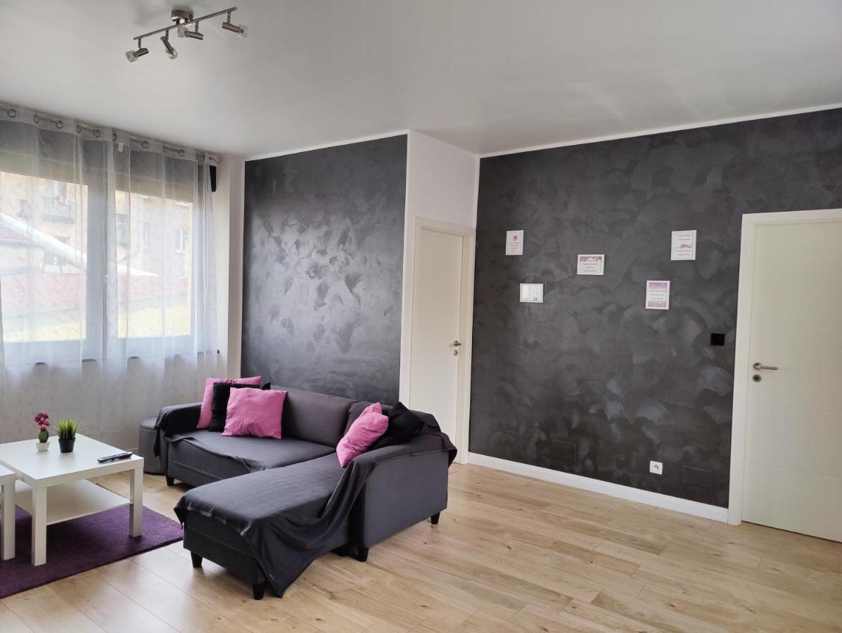 Le Purple, Appartement De Standing En Hypercentre Sarreguemines Luaran gambar