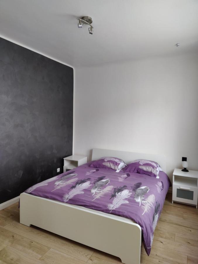 Le Purple, Appartement De Standing En Hypercentre Sarreguemines Luaran gambar